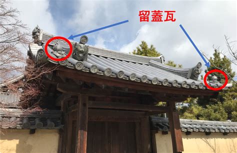 留蓋瓦|法隆寺の留蓋（とめぶた）瓦 